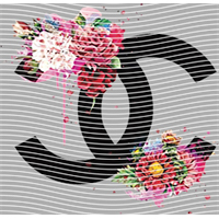 Brand Catalog-ZX 255